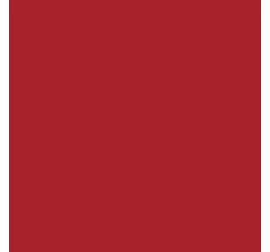Фарба Case IH червона - Erbedol 0,75 л / Kramp 1 л, 3440