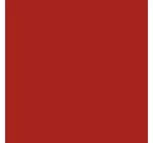 Фарба Case IH червона від 2000 р. - Erbedol 0,75 л / Kramp 1 л, 3446