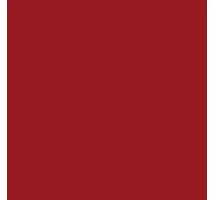 Фарба Case IH червона - нові машини XL - Erbedol 0,75 л / Kramp 1 л, 3390